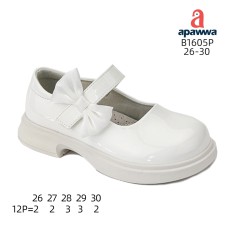 B1605P B1605P
