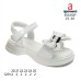 B1690P B1690P