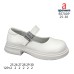 B5700P B5700P
