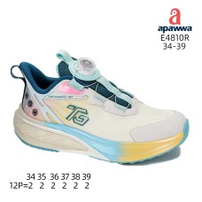 E4810R E4810R