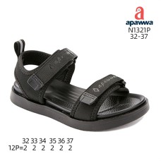 N1321P N1321P