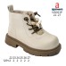 N5003P N5003P