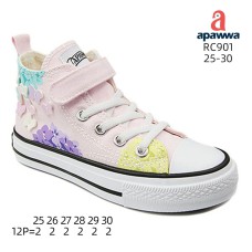 RC901 RC901