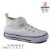 RC905 RC905