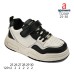 T1210P T1210P