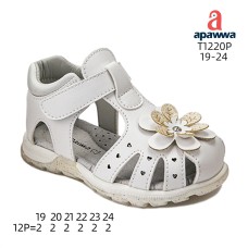 T1220P T1220P