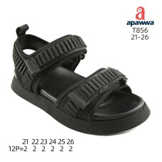 T856 T856