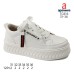 TC816 TC816