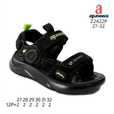 Z2422P Z2422P