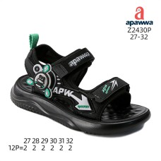 Z2430P Z2430P