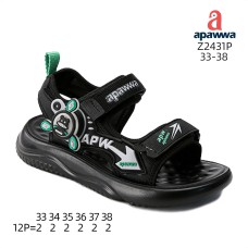 Z2431P Z2431P