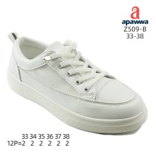 Z509-B Z509-B